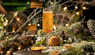 Indulge in the festivities this season