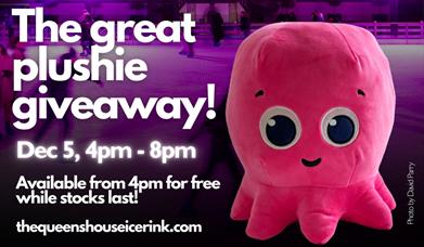 An Octopus plushie and a promotion text about an ice rink offer in Greenwich