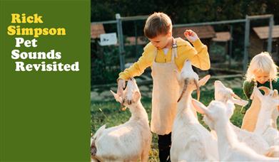 Pet Sounds meets Jazz with this reimagining of the classic Beach Boys album