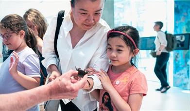 A family-friendly celebration of our ocean hosted at the National Maritime Museum, Greenwich