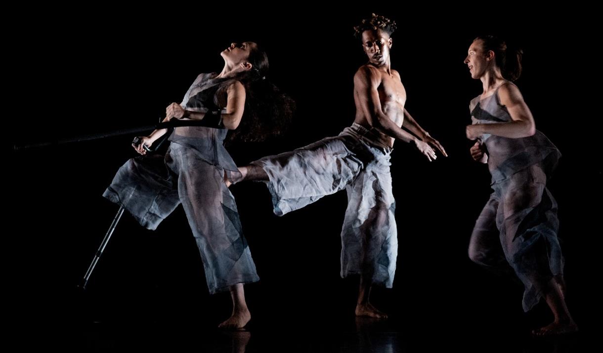 Restaging project by Trisha Brown Dance