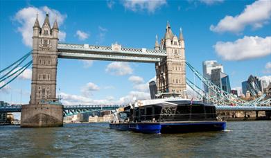 Explore the historic city of London with Tower of London, The View from The Shard, and a Thames River Cruise