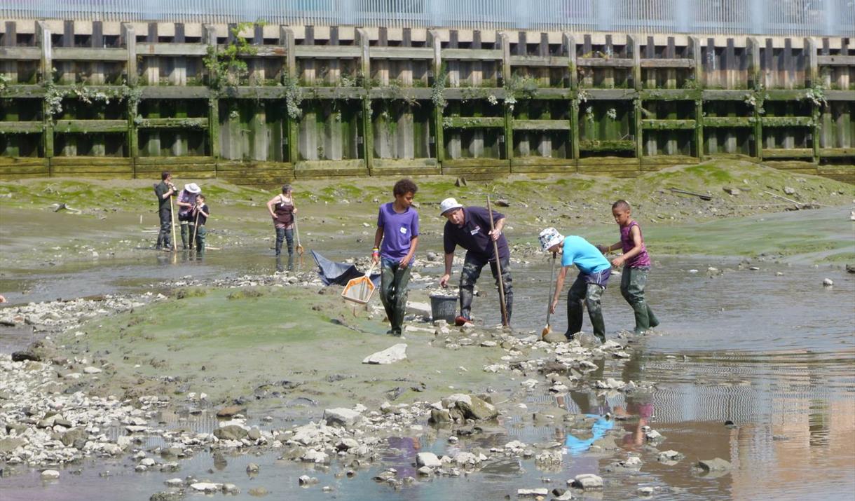 Low Tide Walk lets you explore the Creek with experts and find out about the local and natural history of this amazing urban space.