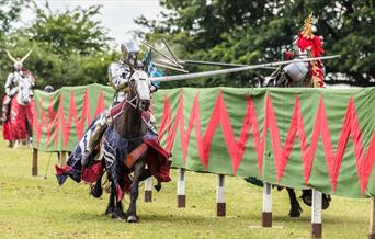 Experience the exhilarating spectacle of speed and skill as four legendary knights compete for honour and glory in the Grand Medieval Joust