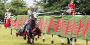 Experience the exhilarating spectacle of speed and skill as four legendary knights compete for honour and glory in the Grand Medieval Joust