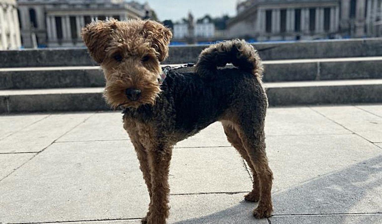 Image Credit: © Hayley Chester (Elsie visiting the ORNC) Image Credit: © Hayley Chester (Elsie visiting the ORNC)