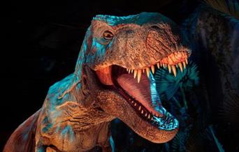 Get up-close and personal with life-size dinosaurs as you walk through the world-famous Jurassic World gates