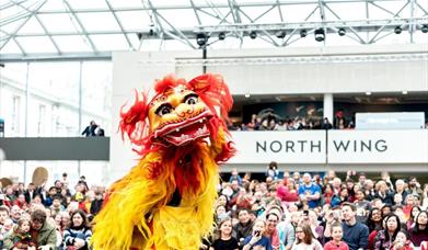 Come and celebrate the Year of the Tiger with a whole host of Lunar New Year activities