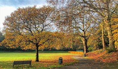 An autumnal day at Maryon Park in Charlton, Greenwich.