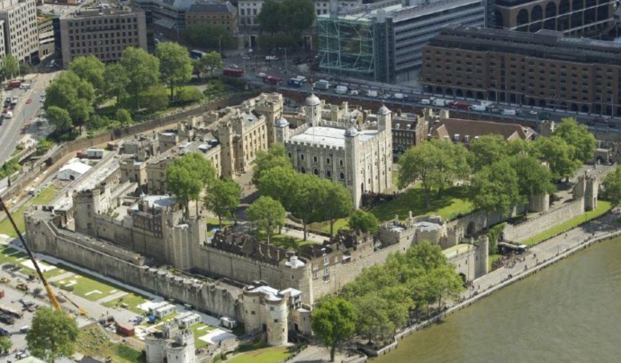 Experience not only a visit to the Tower of London, but also the chance to wander around the plants in the Tower’s Moat to mark Superbloom