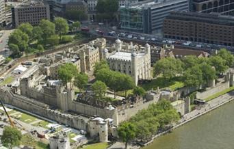 Experience not only a visit to the Tower of London, but also the chance to wander around the plants in the Tower’s Moat to mark Superbloom