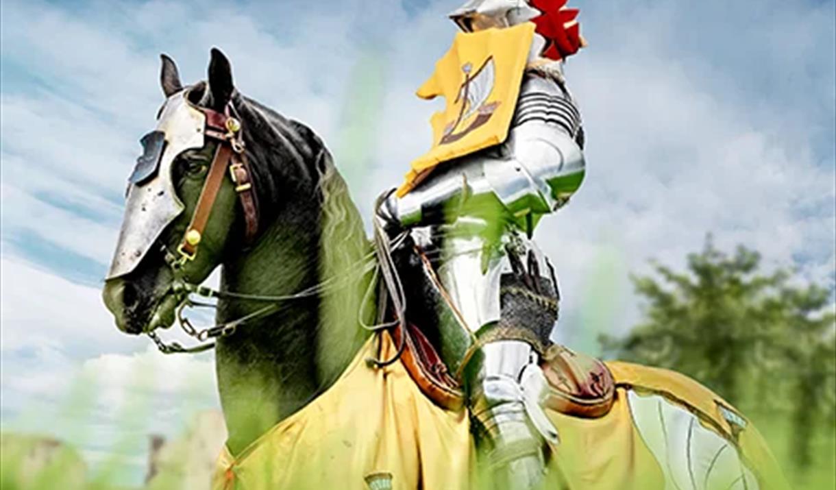 Experience the exhilarating spectacle of speed and skill as four legendary knights compete for honour and glory in the Grand Medieval Joust - Knight i