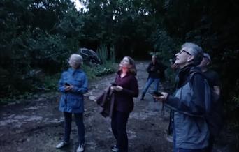 An evening guided walk around Woodlands Farm to see if we can spot any bats.