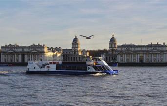 Event Delivery & Operations Manager - City Cruises