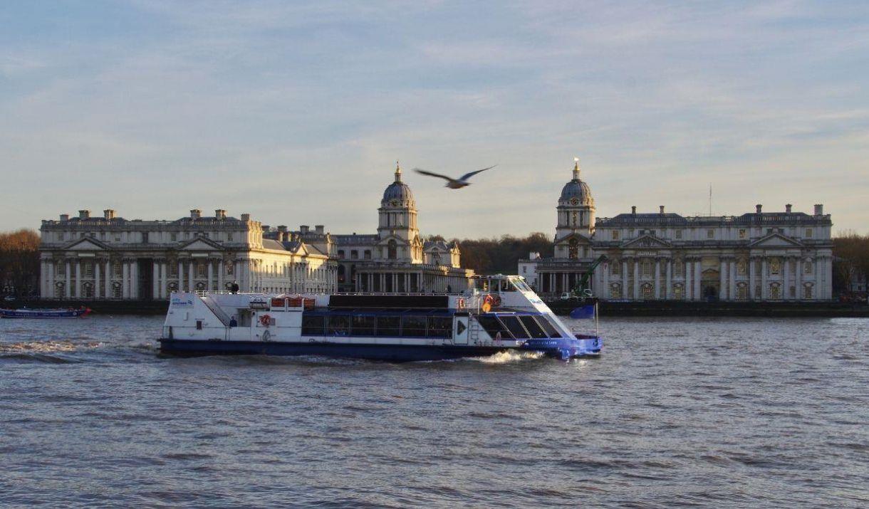 City Cruises boat in front of the Old Royal Naval College famous domes, with a seagull flying past